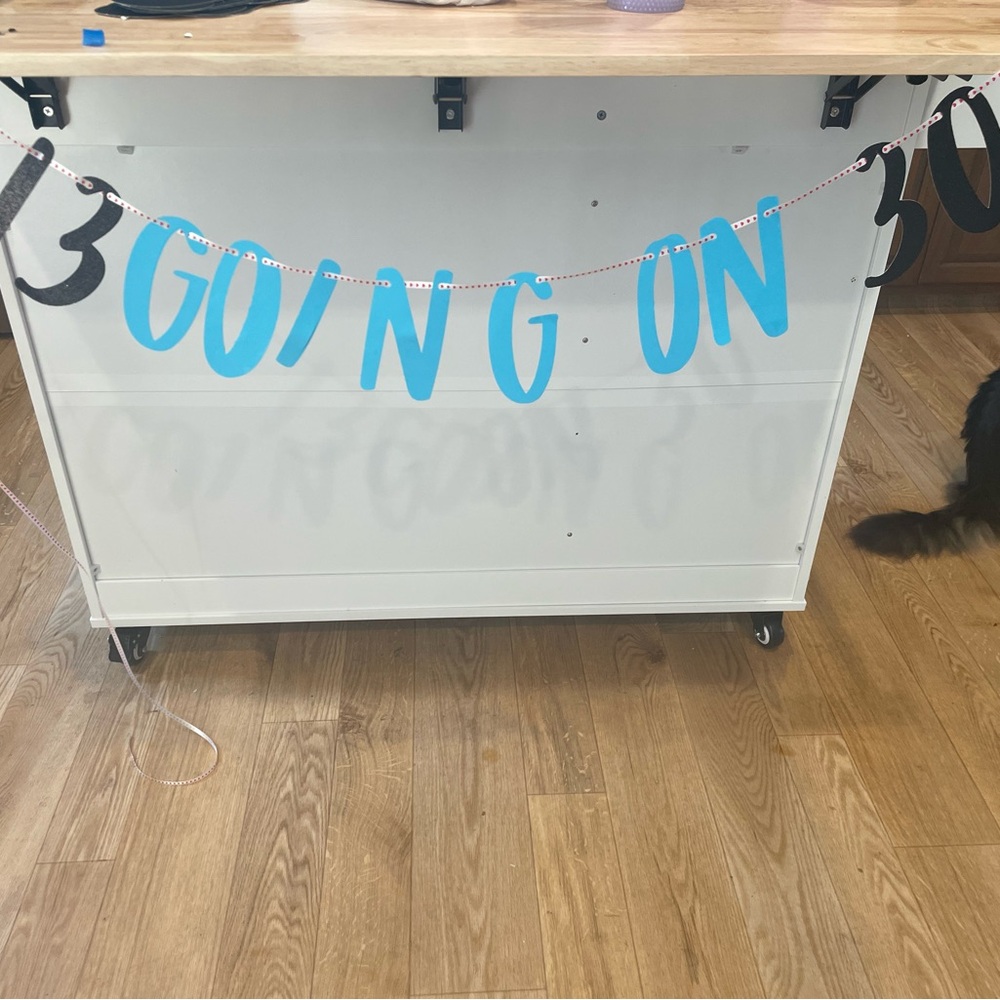 13 going on 30 Birthday Banner